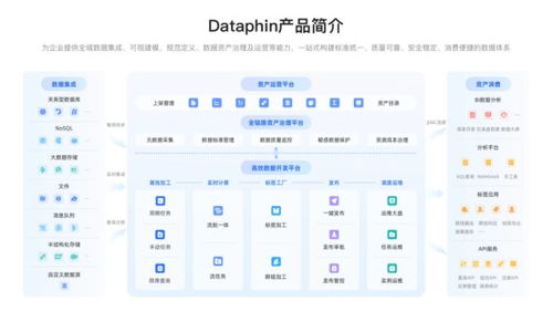 企業(yè)數據系統(tǒng)建設 治理價值凸顯，2025主流產品與服務全景展望
